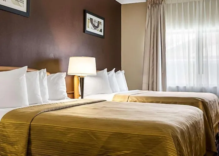 Quality Suites Near West Acres