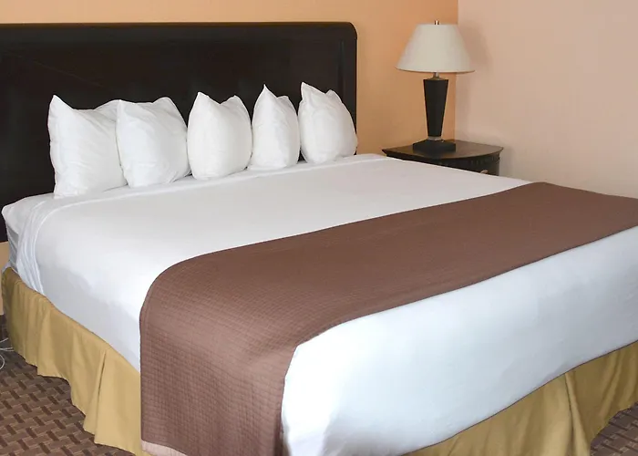 Baymont By Wyndham East Windsor Bradley Airport