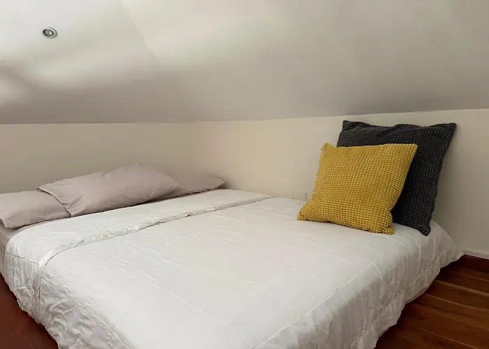La Casa de Pucha Surf History&Tropical Stay