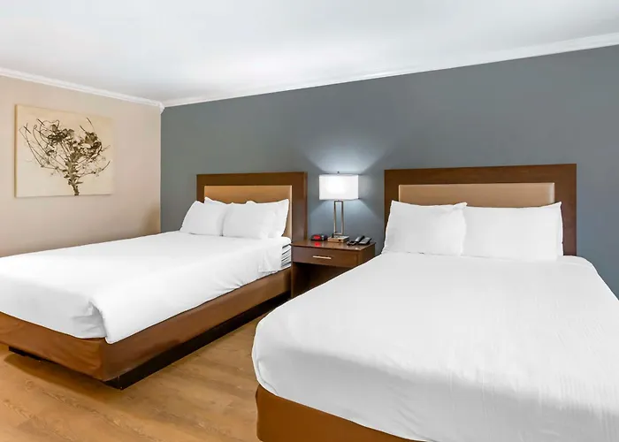 Best Western Mountain View Inn