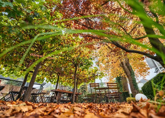 Hotel Le Manoir