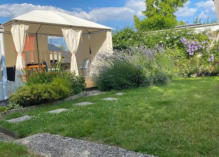 Bulle D évidence