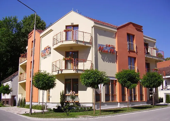 Hotel Mladimir