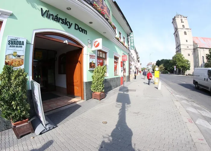 Hotel Vinarsky Dom