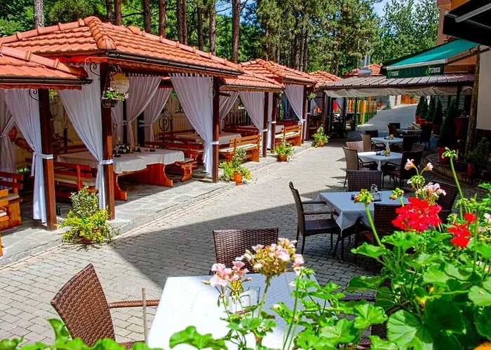 Hotel Park Bachinovo