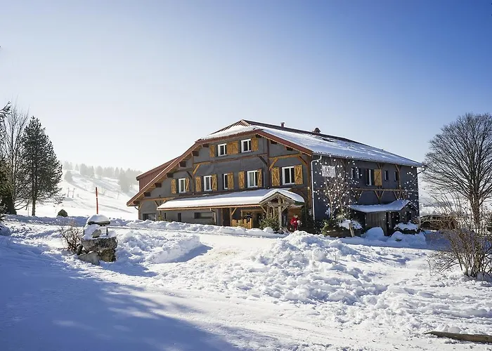 Hôtel Le Manoir des Montagnes
