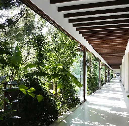 The Lifeco Bodrum Well-Being Detox Center And Vegan Hotel (Adults Only)