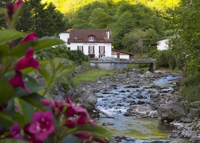 Les Sources de La Nive