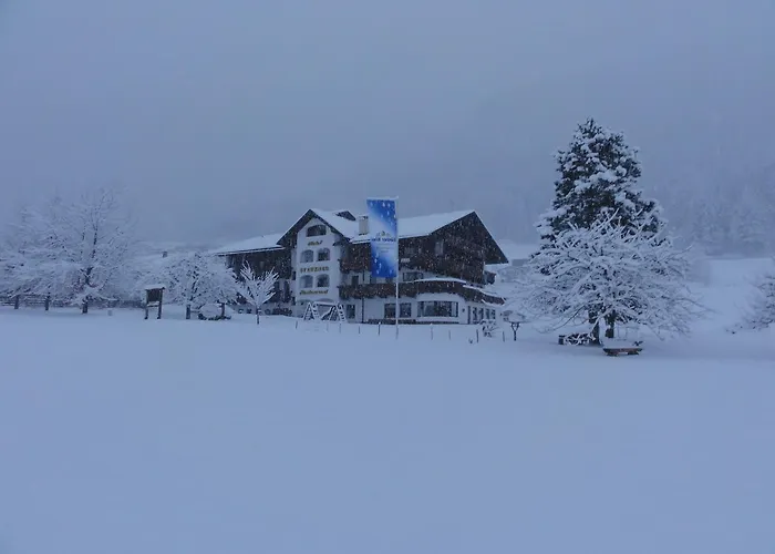 Hotel Steuxner