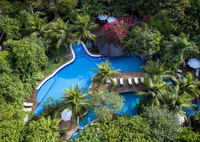 Sombra e Água Fresca Floresta