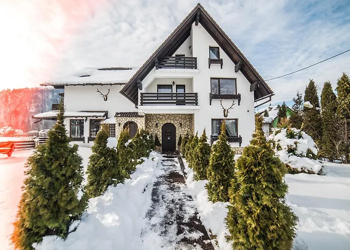 Bran Chalet