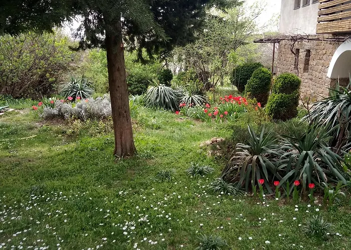 Family hotel Elena