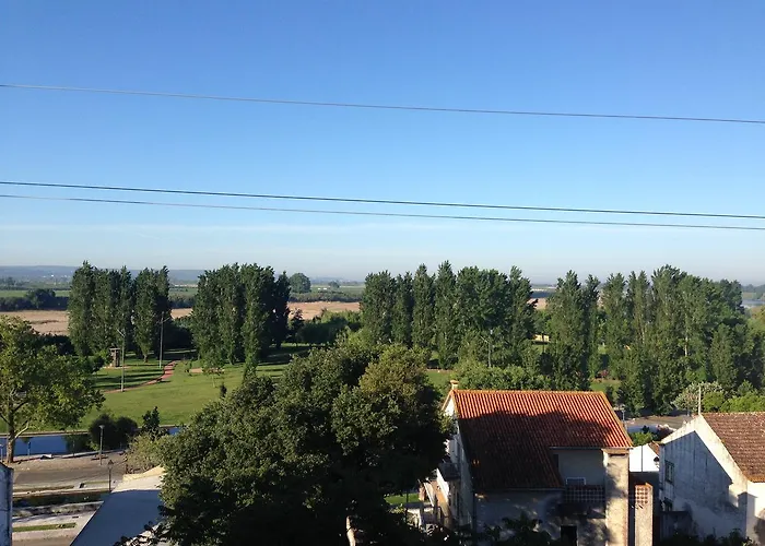 Soltejo