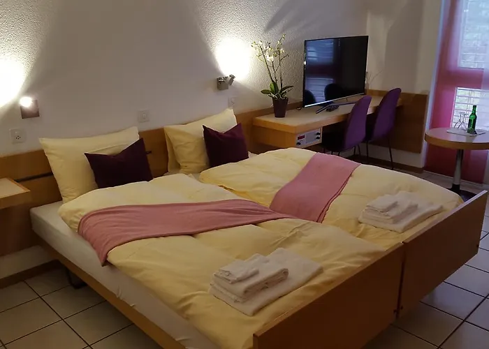 Hotel Loetschberg