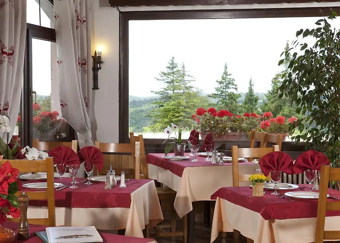 Logis Hotel La Petite Chaumiere