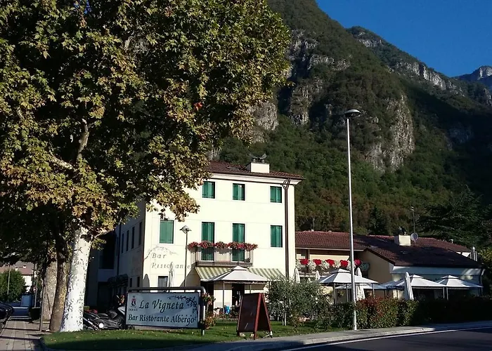La Vigneta