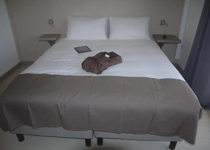 Hotel Des Amandiers