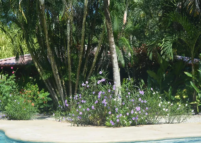 Indigo Yoga Surf Resort