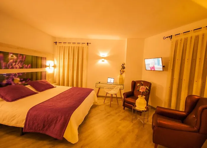 Hotel Hc Zoom