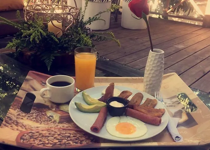 G y V Hotels
