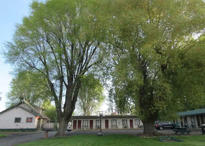 The Willows Motel