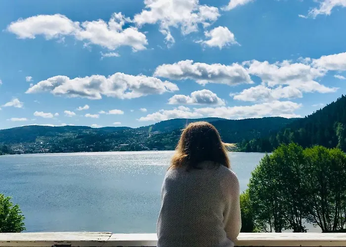Le Chalet au bord du lac