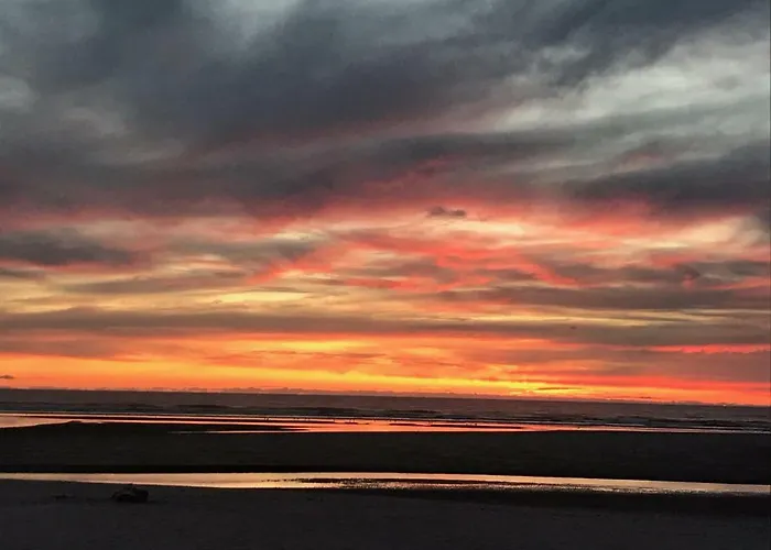 Webb'S Scenic Surf