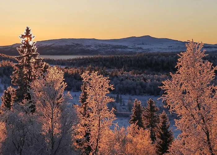 Skarvruets Hoegfjaellshotell