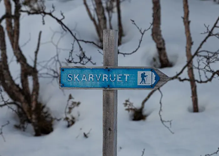 Skarvruets Hoegfjaellshotell