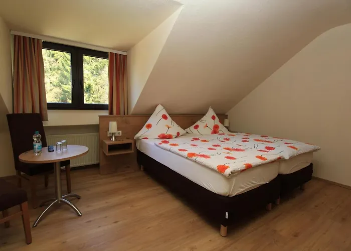 Waldhotel Albachmuehle