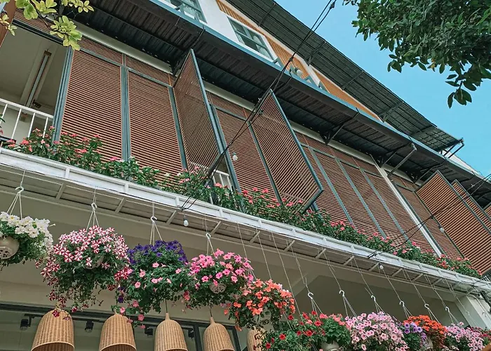 Daisy House
