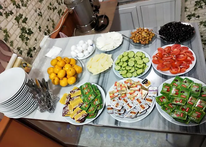 Otel Cinar